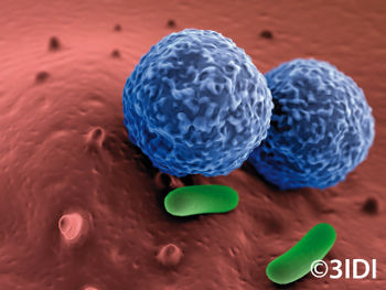 Abstrakte grafische Darstellung der Bioimmun(G)en-Medizin